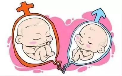 关于供卵孕妈带怀服务机构